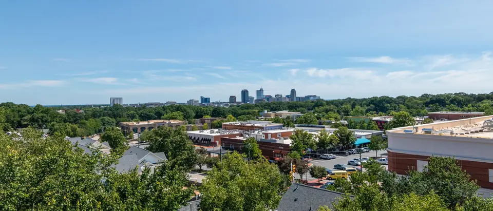 The Raleigh skyline over the treetops on a clear day